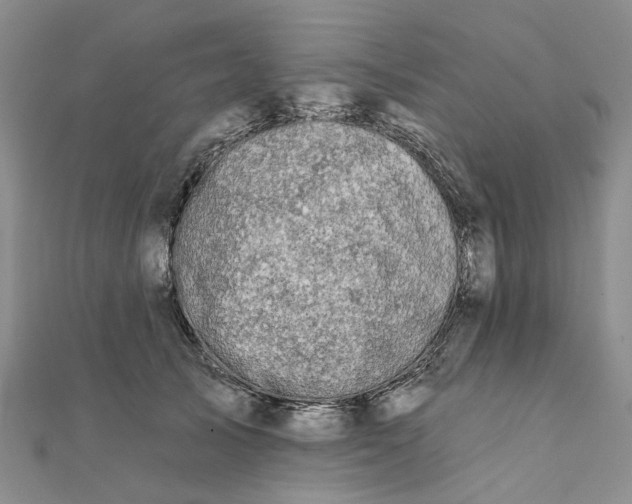 X0000111790705200908061136