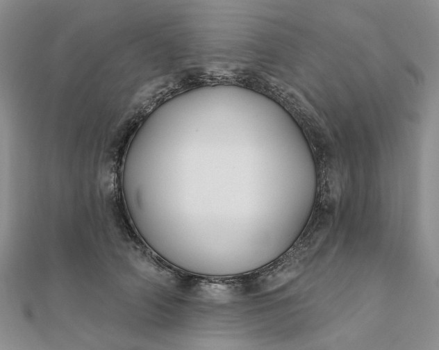 X0000111790706200908061136