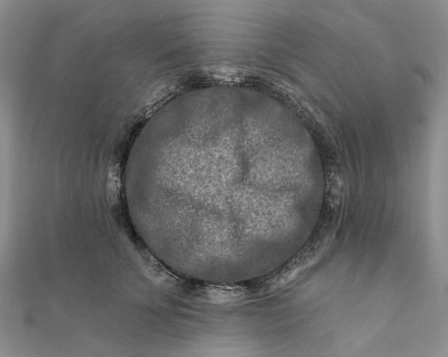 X0000111790707200908061136