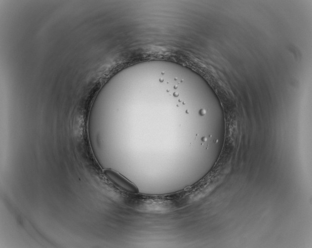 X0000111790708200908061136