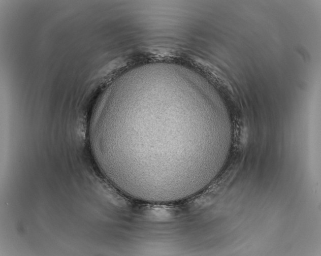 X0000111790710200908061136