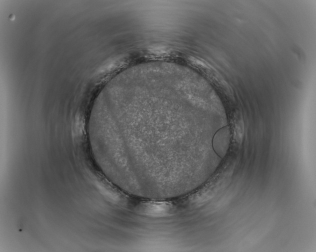 X0000111790711200908061136