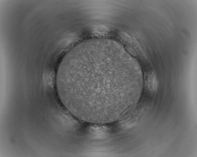 X0000111790712200908061136