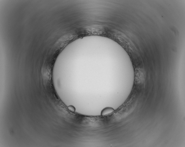 X0000111790713200908061136