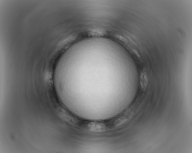 X0000111790714200908061136