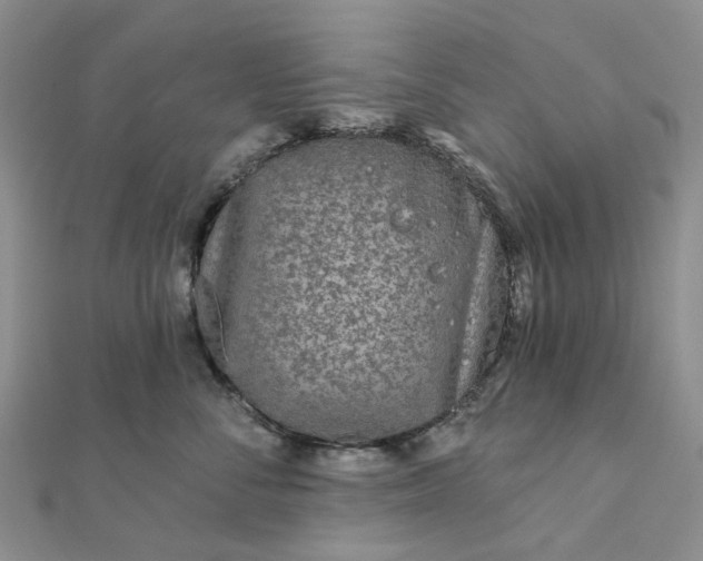 X0000111790716200908061136