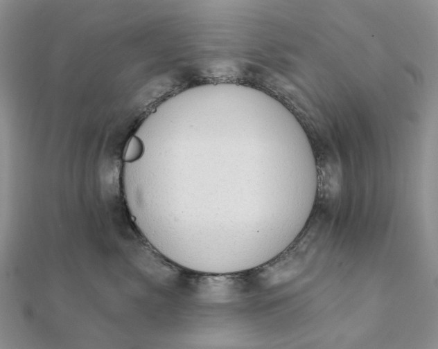 X0000111790717200908061136