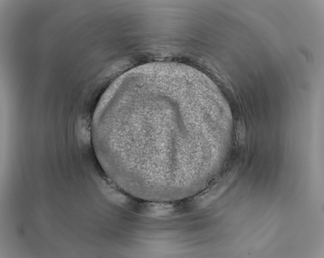 X0000111790719200908061136