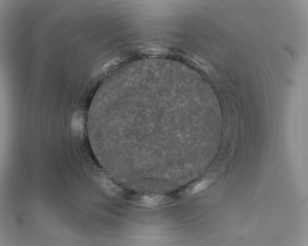 X0000111790720200908061136