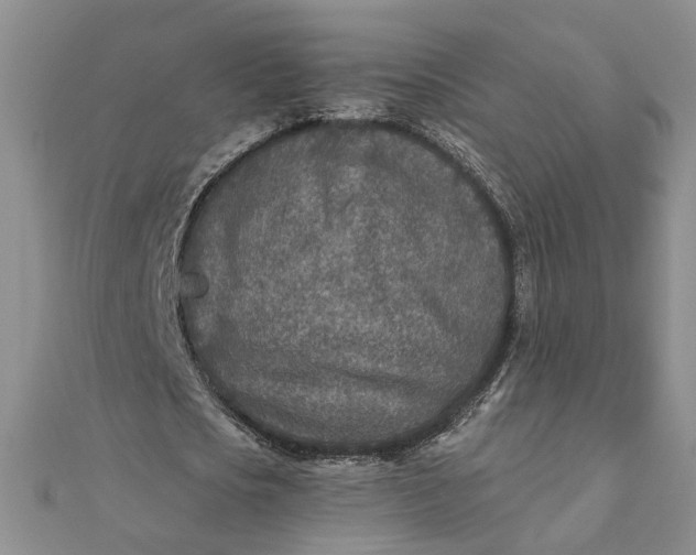 X0000111790721200908061136