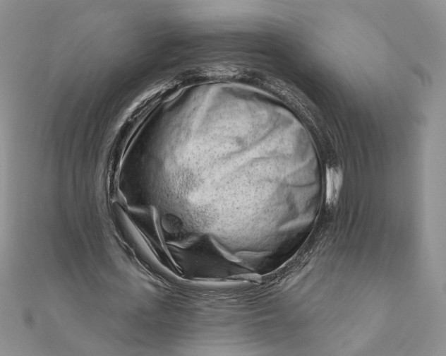 X0000111790723200908061136