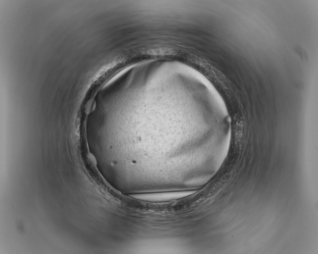 X0000111790727200908061136