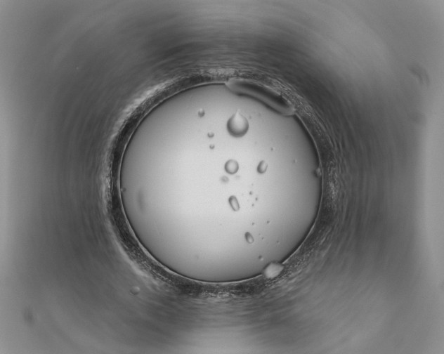 X0000111790728200908061136