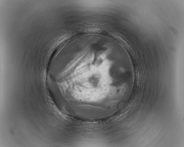 X0000111790729200908061136