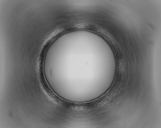 X0000111790730200908061136