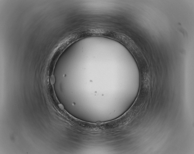 X0000111790731200908061136