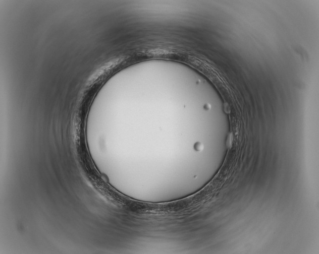 X0000111790732200908061136