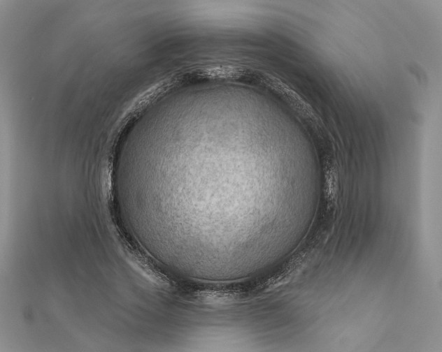 X0000111790733200908061136