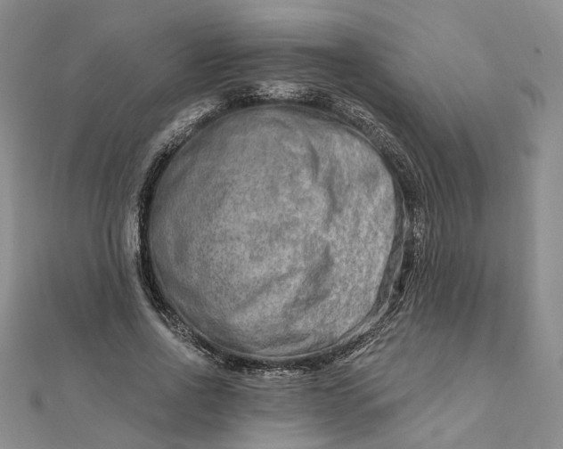 X0000111790734200908061136