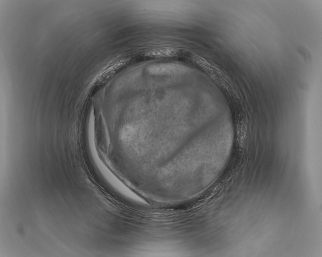 X0000111790735200908061136