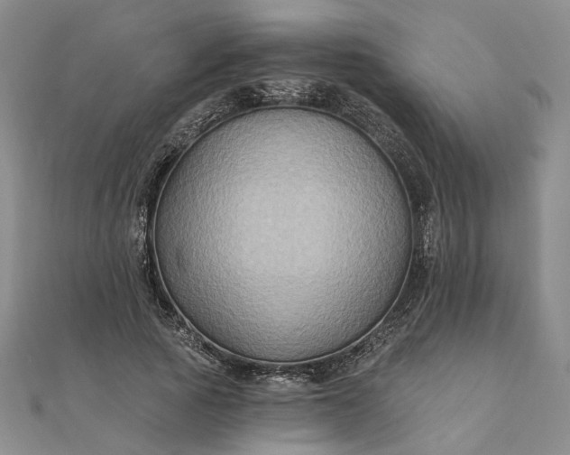 X0000111790737200908061136