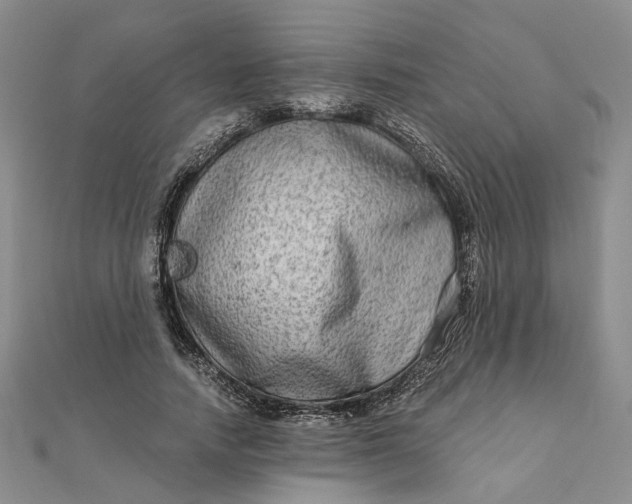 X0000111790738200908061136