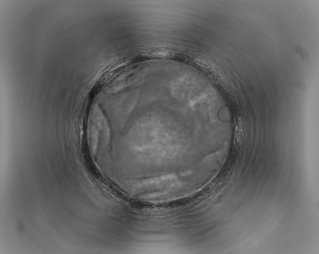 X0000111790739200908061136