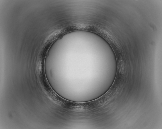 X0000111790740200908061136