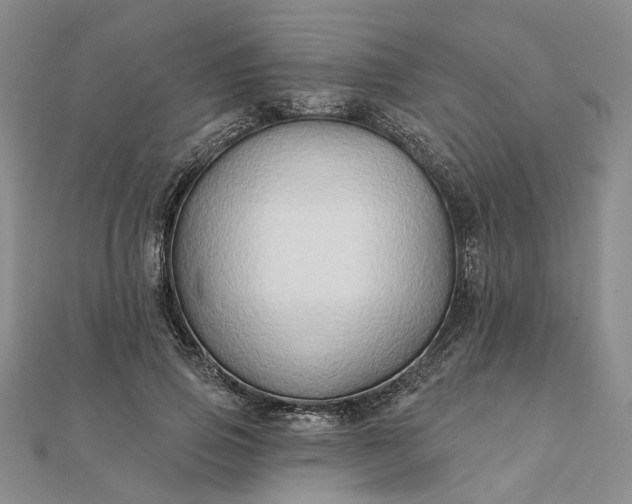 X0000111790741200908061136