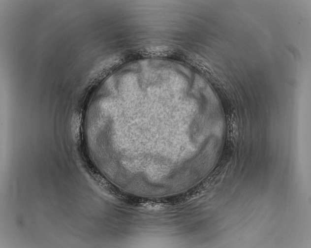 X0000111790742200908061136