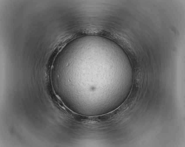 X0000111790743200908061136