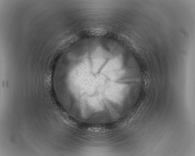 X0000111790745200908061136