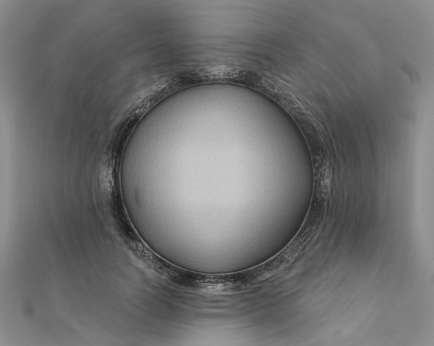 X0000111790746200908061136