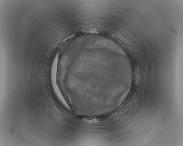 X0000111790747200908061136