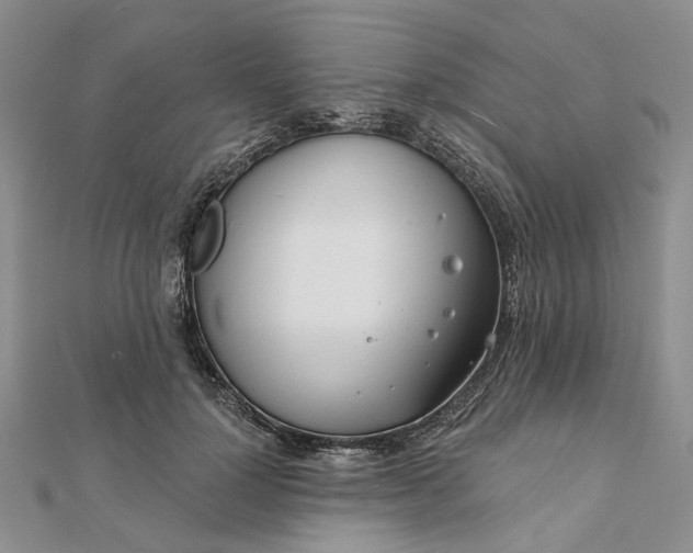 X0000111790748200908061136