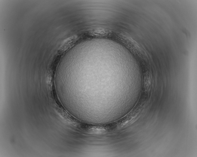 X0000111790749200908061136