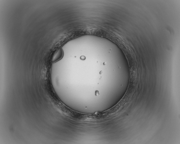 X0000111790750200908061136