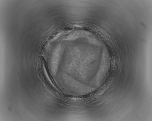 X0000111790751200908061136