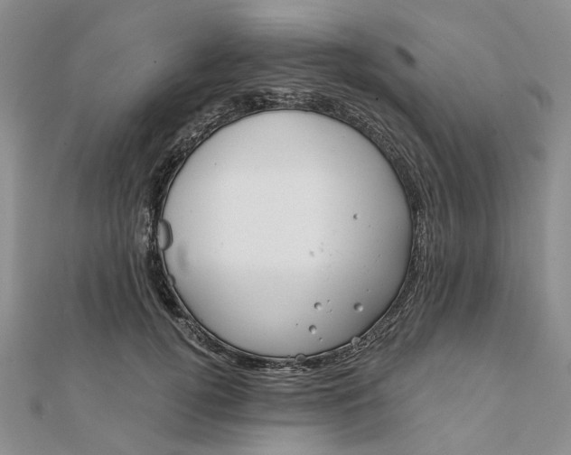 X0000111790752200908061136