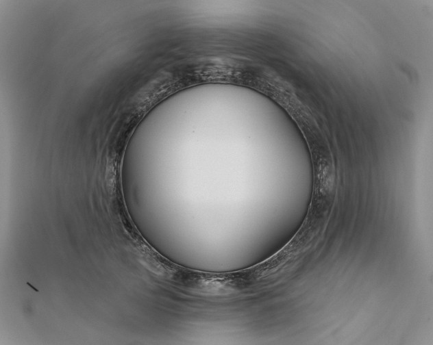 X0000111790753200908061136