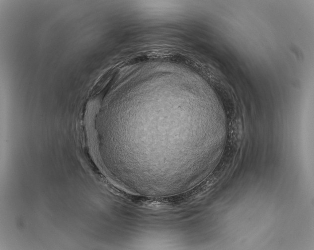 X0000111790755200908061136