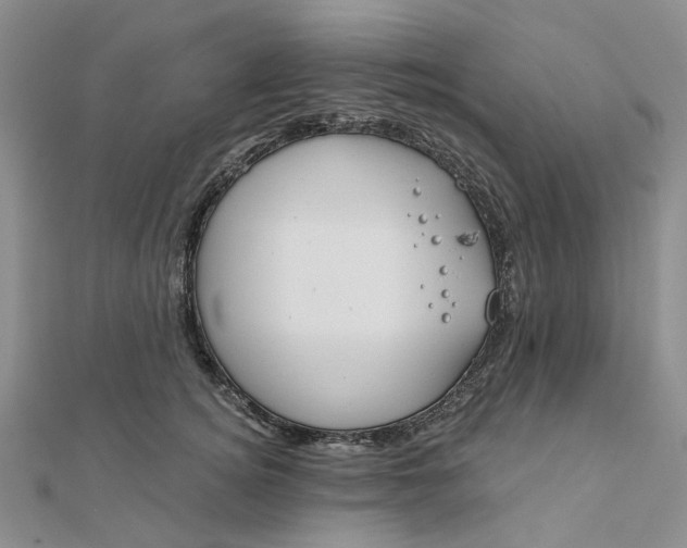 X0000111790756200908061136