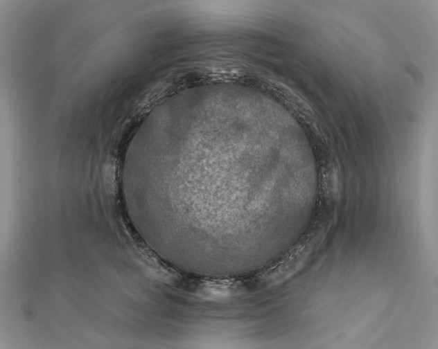 X0000111790757200908061136