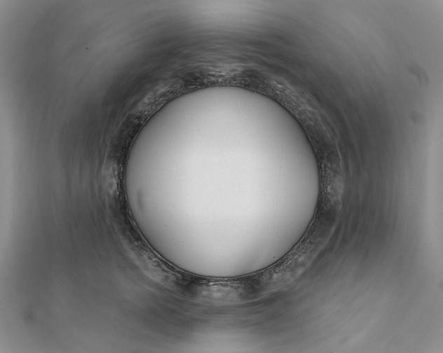 X0000111790758200908061136