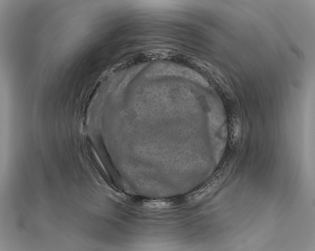 X0000111790759200908061136