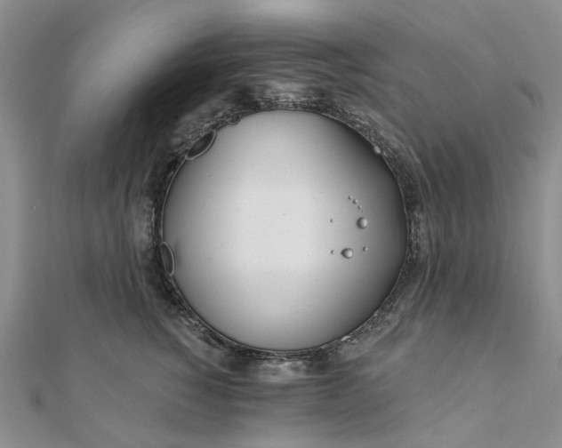 X0000111790760200908061136