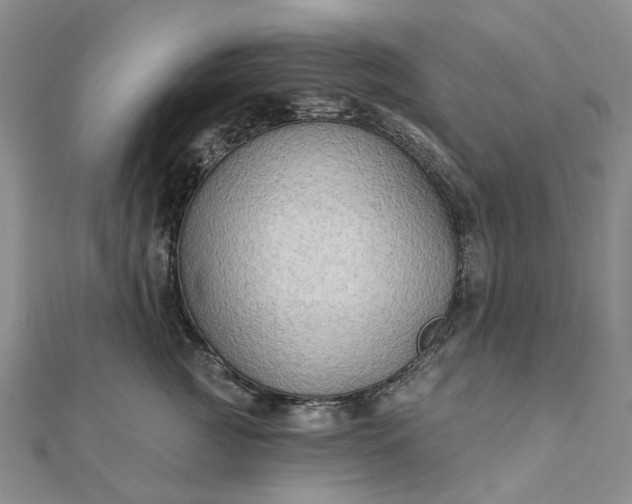 X0000111790761200908061136