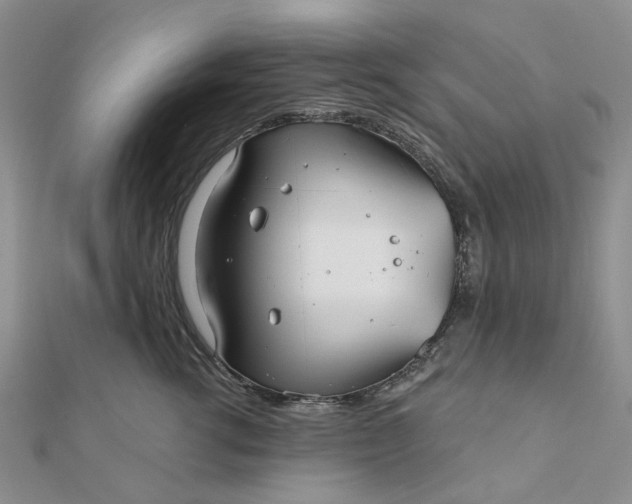 X0000111790762200908061136