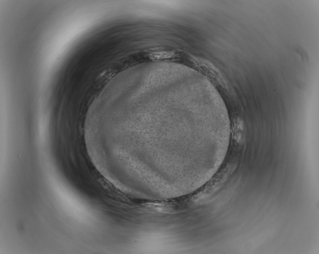 X0000111790763200908061136