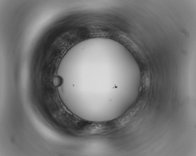 X0000111790764200908061136